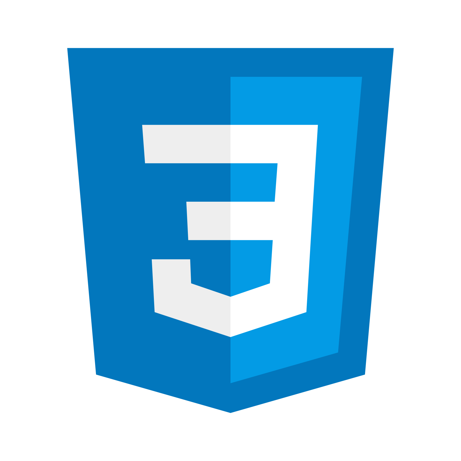 CSS Logo